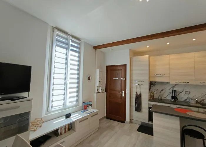 Coquet 2 Pieces Entierement Renove Et Climatise *